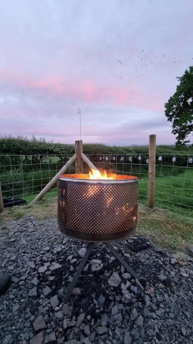 Bronfelen Yurt Hotel Cynghordy Exterior photo