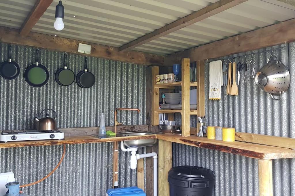 Bronfelen Yurt Hotel Cynghordy Exterior photo